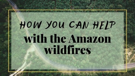 How you can help with the Amazon wildfires