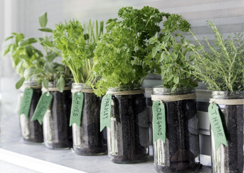 How to create the perfect herb garden at home