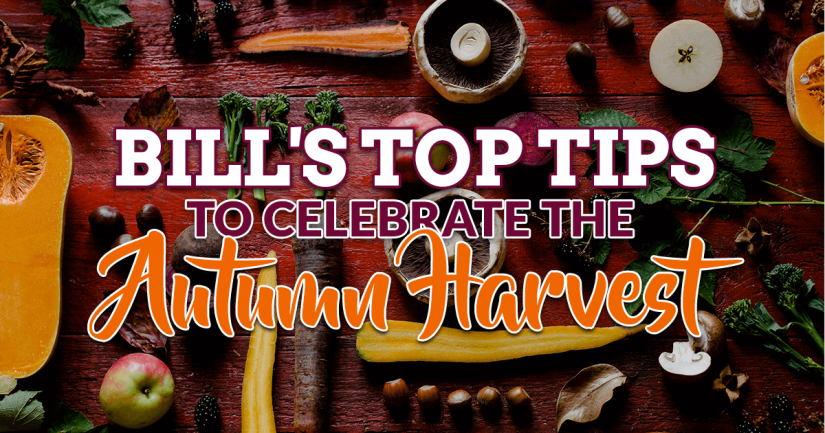 Bill’s top tips to celebrate the autumn harvest