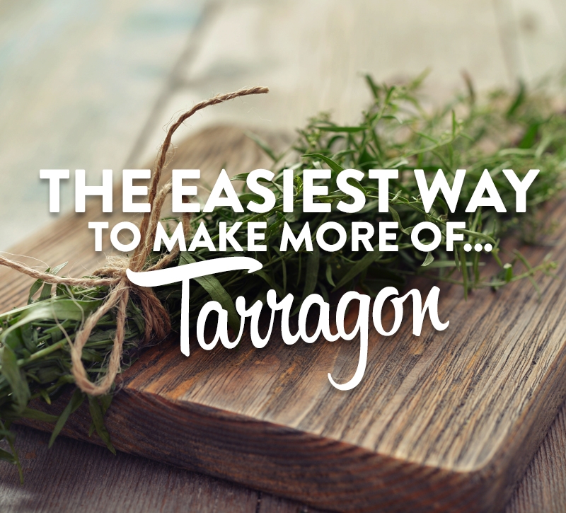 The easiest way to make more of tarragon