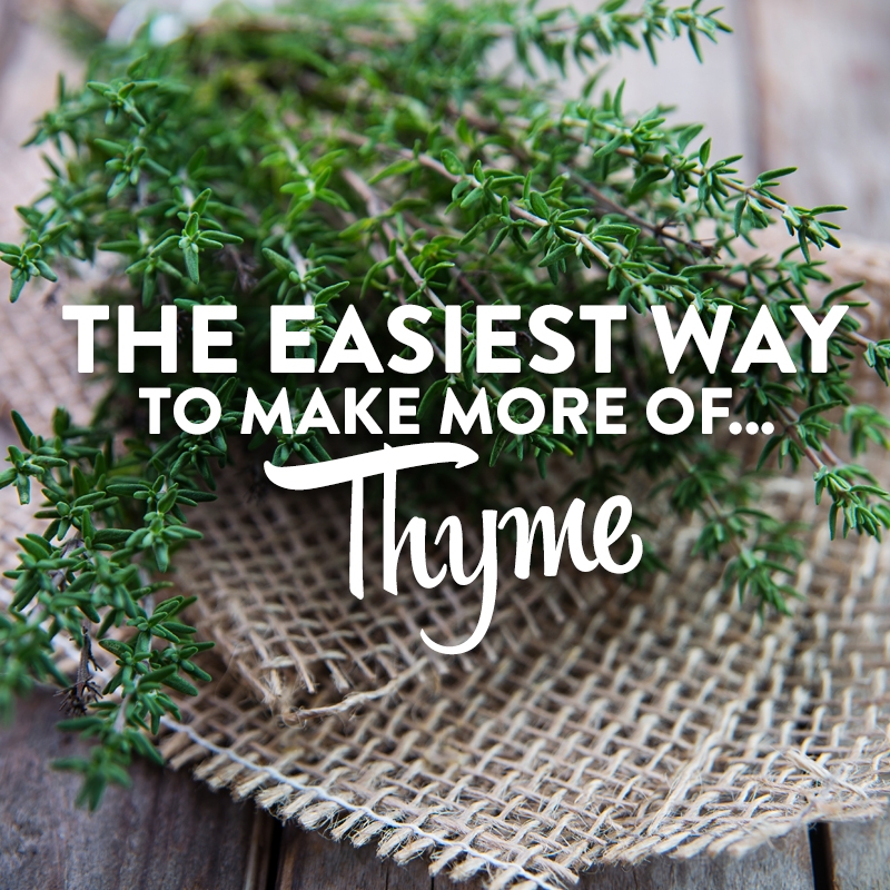 The easiest way to make more of Thyme