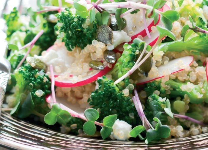 Organic Quinola, Broccoli, Radish and Feta Salad Recipe: Veggie