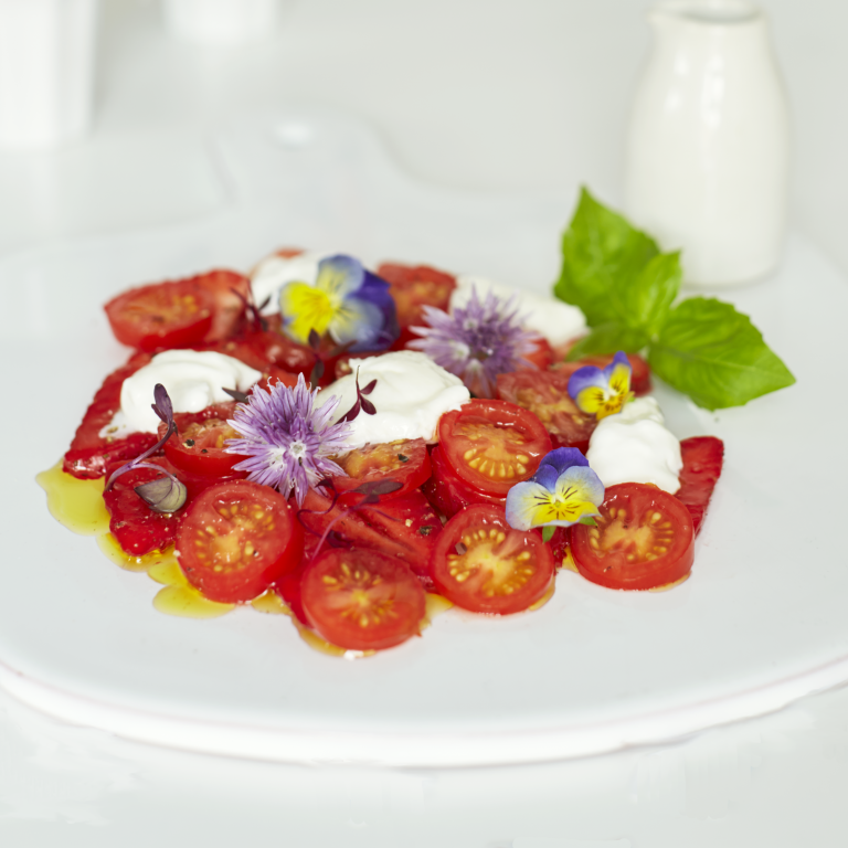 You’ll Love These Tasty Tomato Recipes You’ll Love These Tasty Tomato Recipes