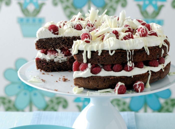 Raspberry and Double Chocolate Cake