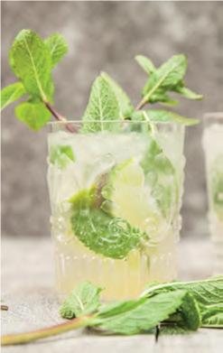 Classic Mojito Recipe: Veggie