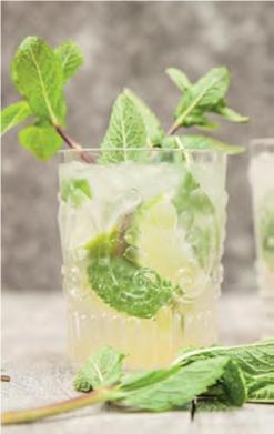 Classic Mojito