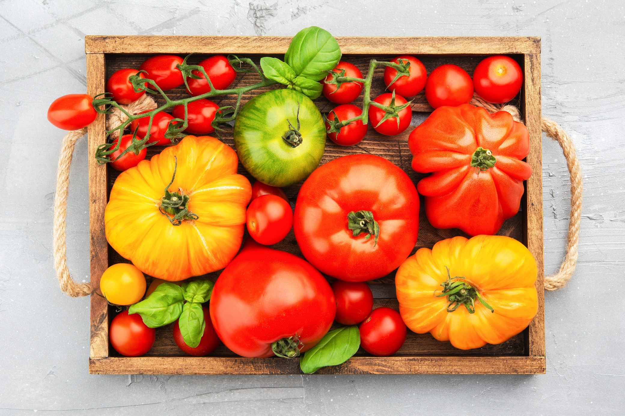 Everything you need to know about British tomatoes Vegetarian Cooking