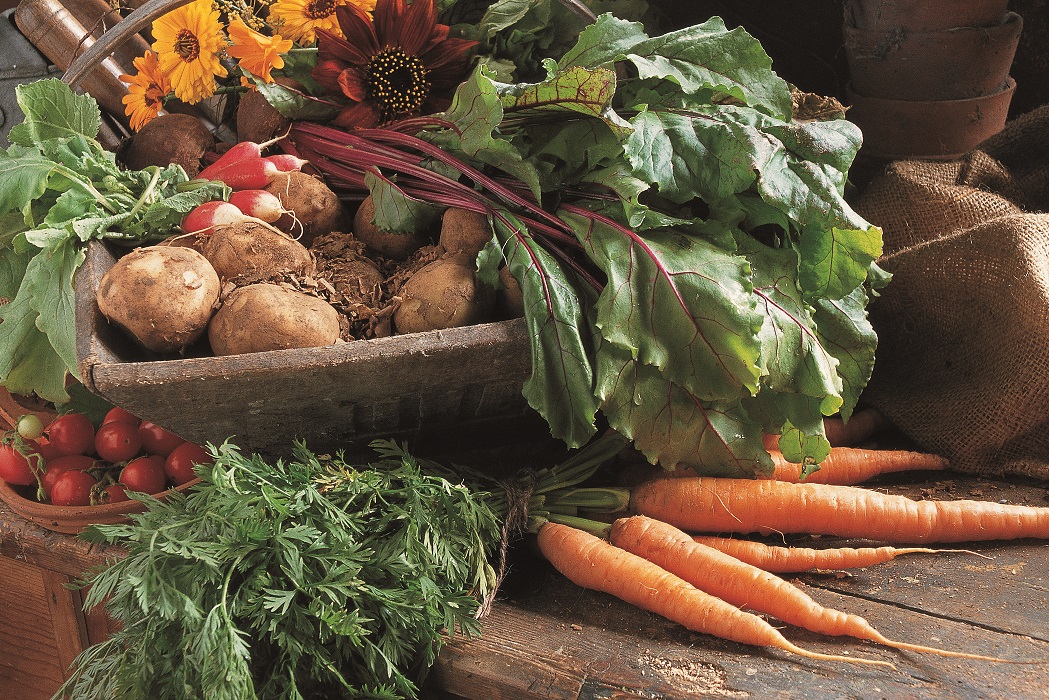 Why you should transform your garden to grow sustainable food