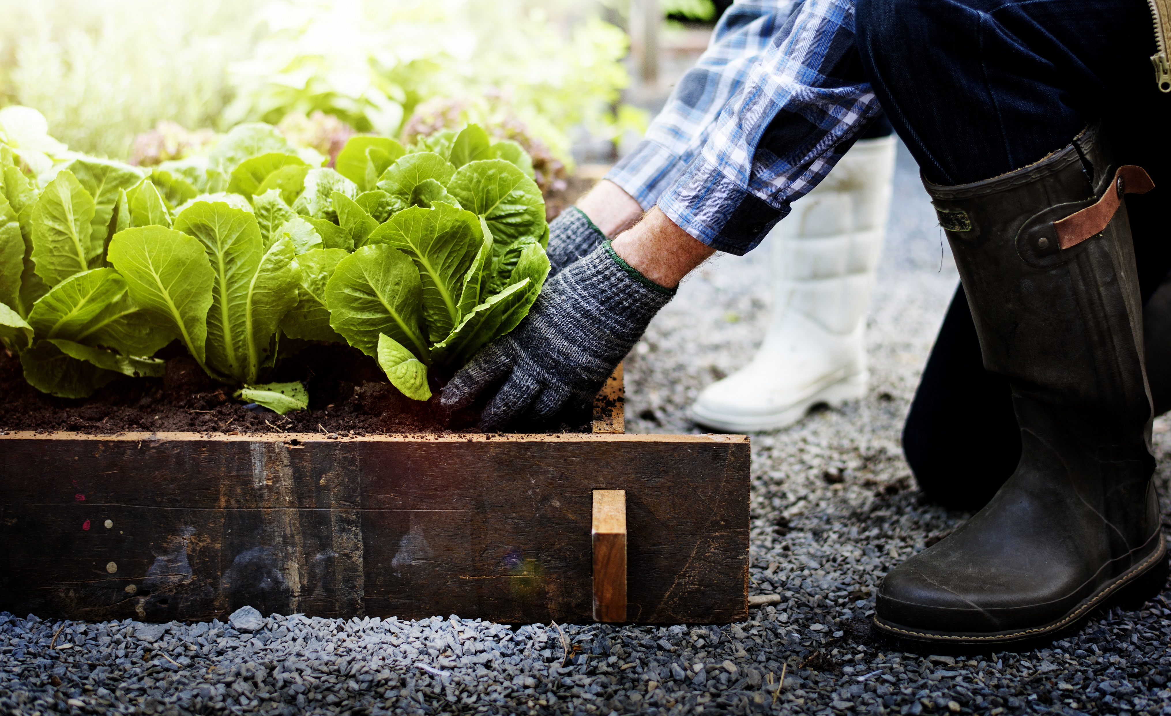 5 gifts for the gardener in your life