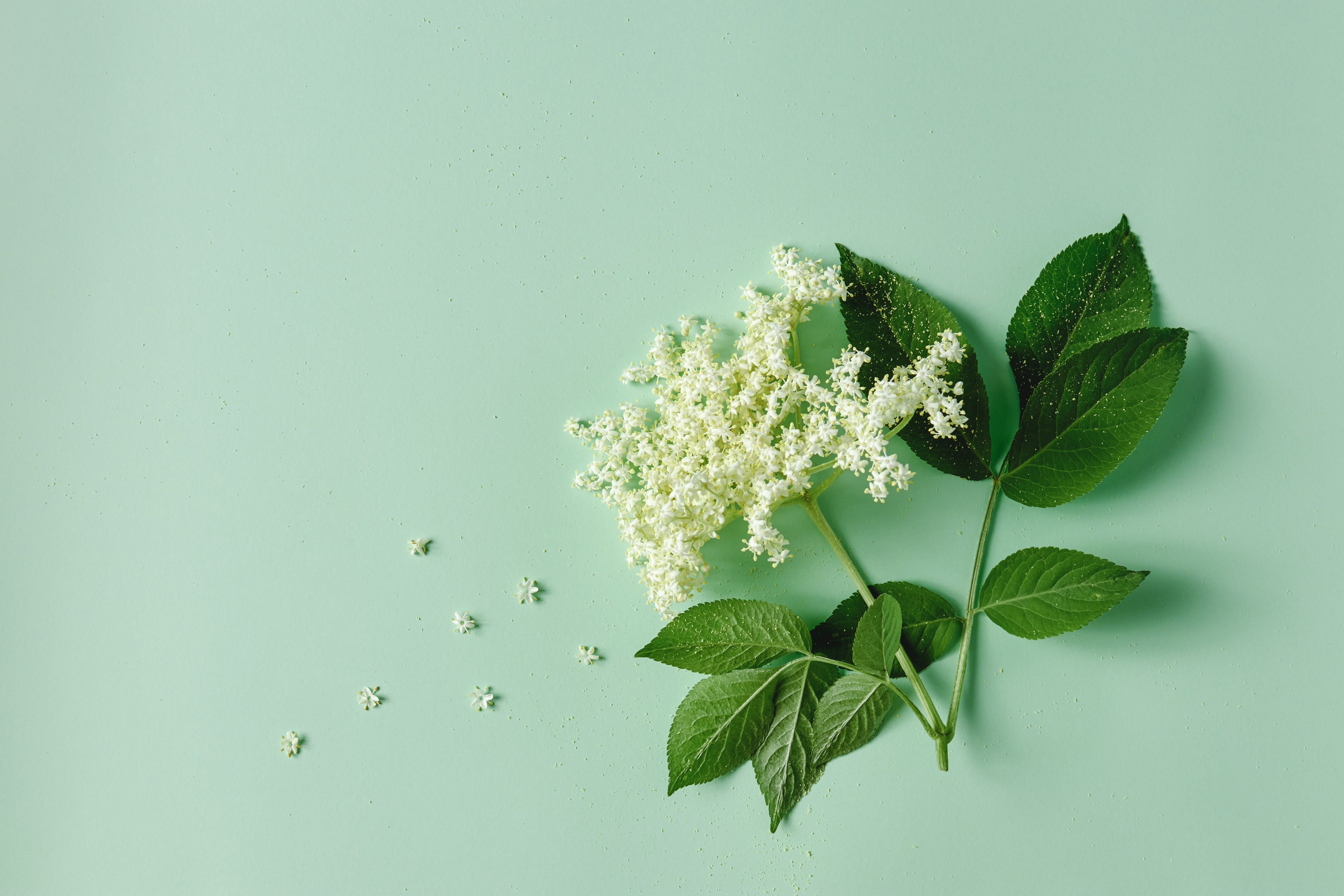5 immunity-boosting products to protect your health