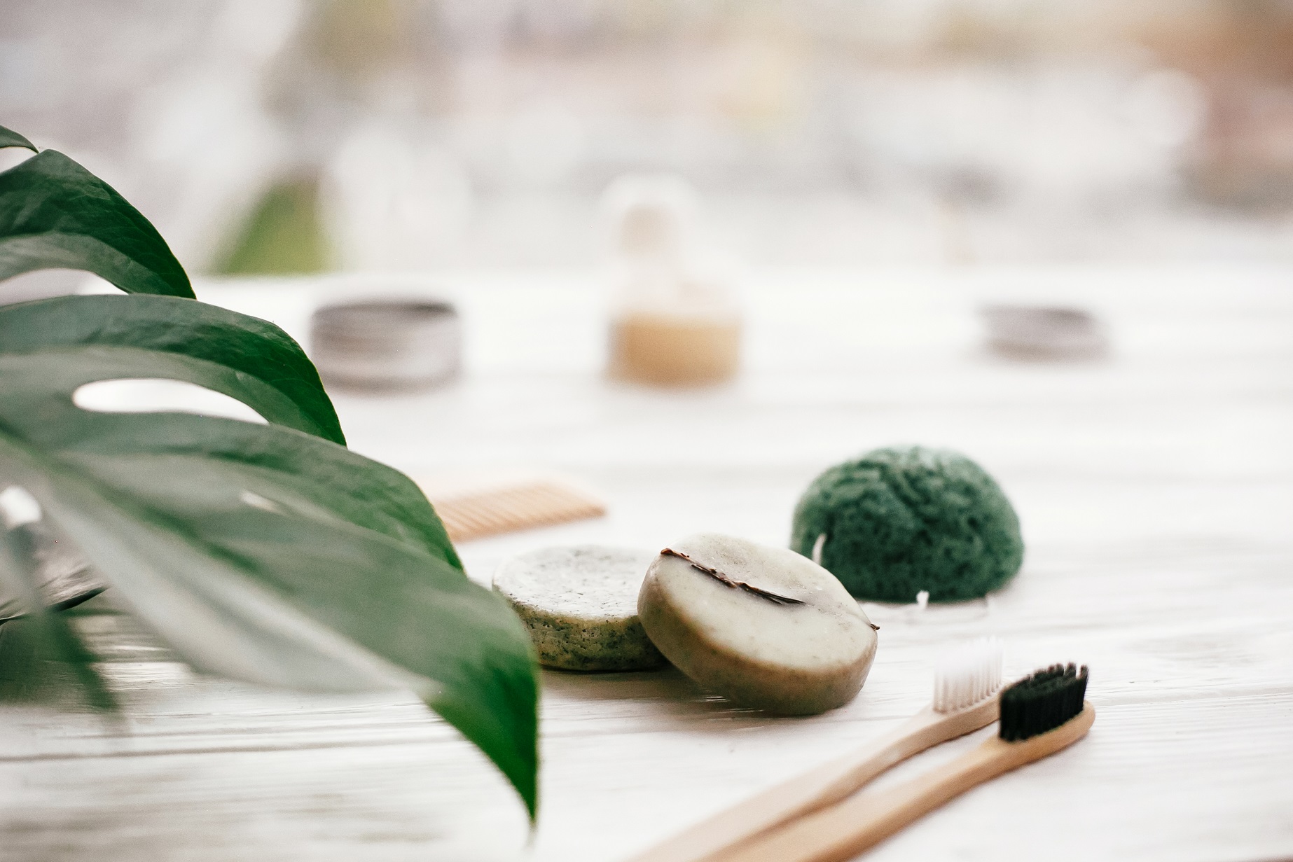 Easy plastic-free swaps for every day