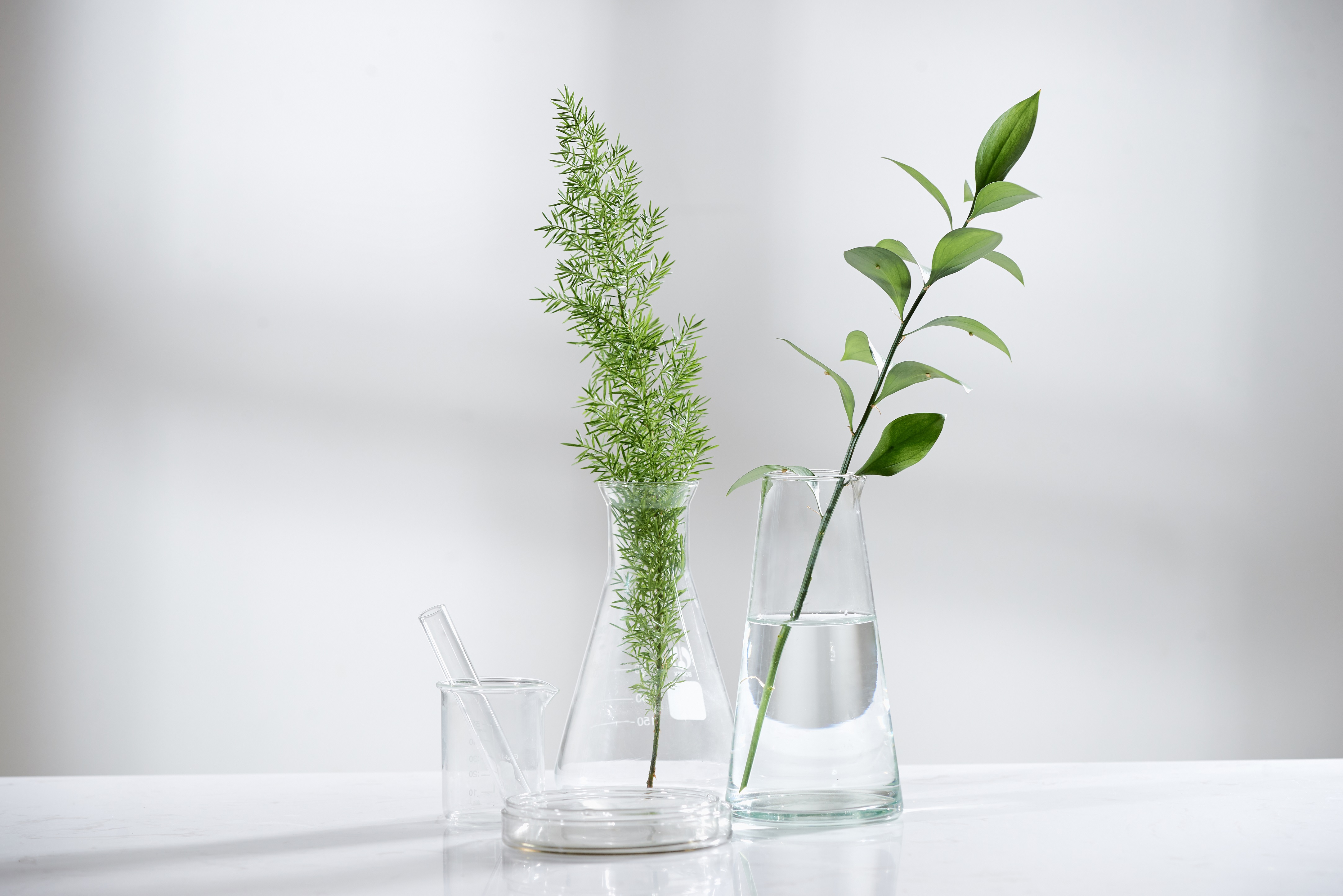 What is greenwashing and how can you spot it?