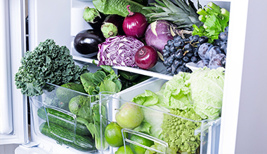 VEGAN FRIDGE/FREEZER <br>