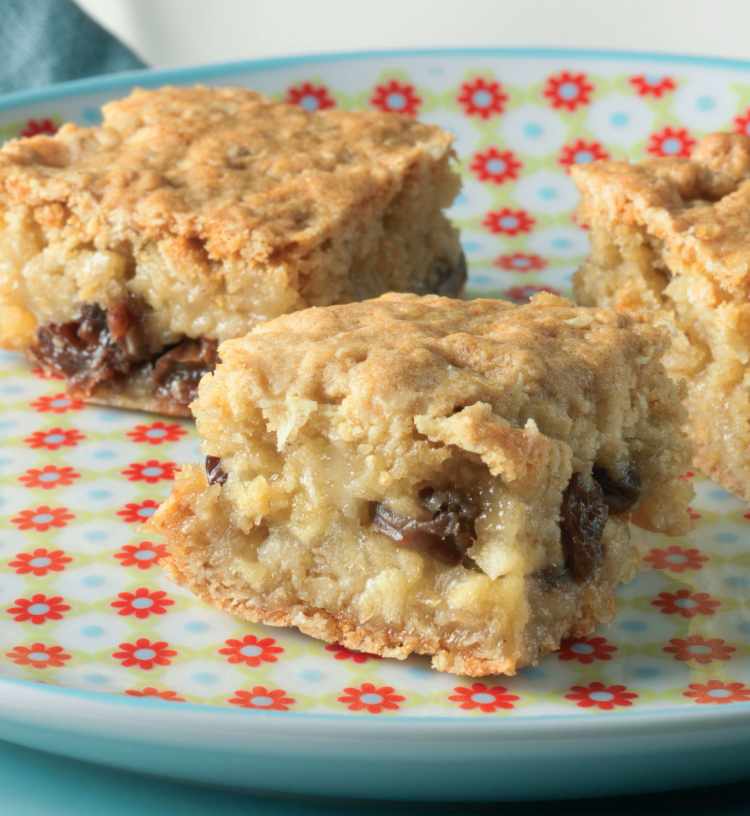 Apple and Raisin Honey Squares