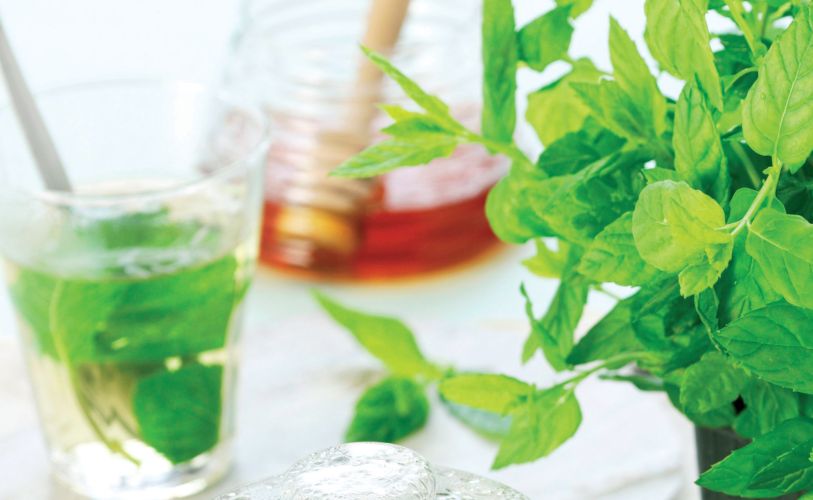 Mint Tea
