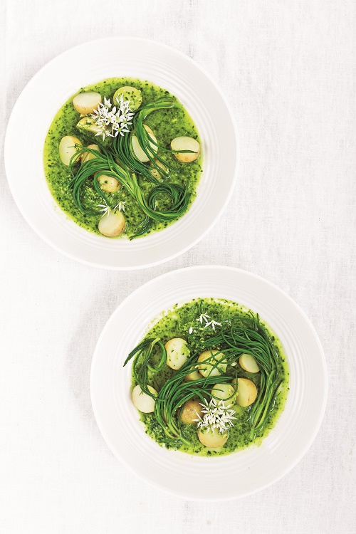 SPRING VEG SOUP