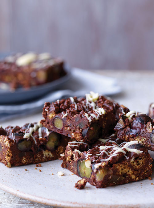 Rocky Road Blueberry Bites